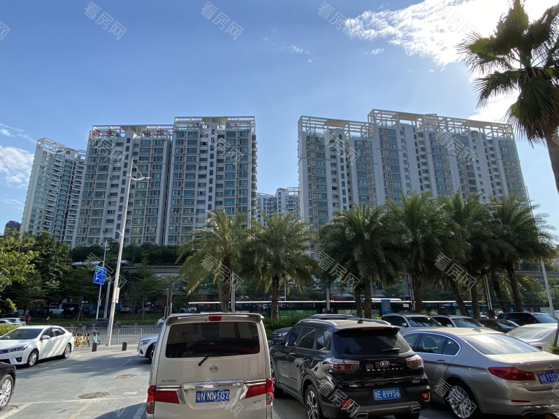 深圳城市山林一期小区信息图片2