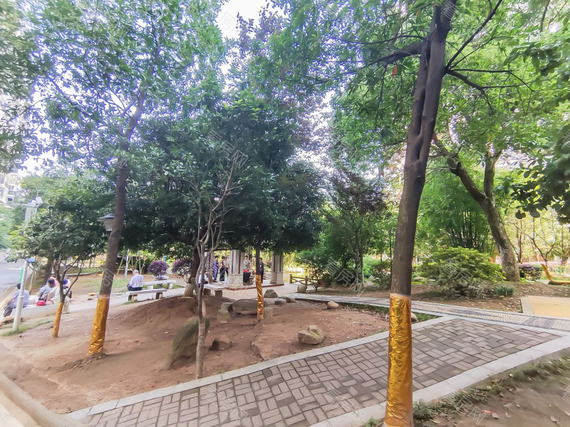 衡阳金桥国际公馆小区信息图片8