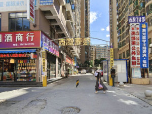 衡阳西湖豪盛小区信息图片