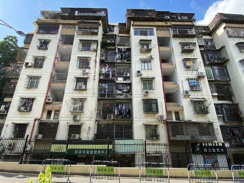 深圳园岭新村小区信息图片11