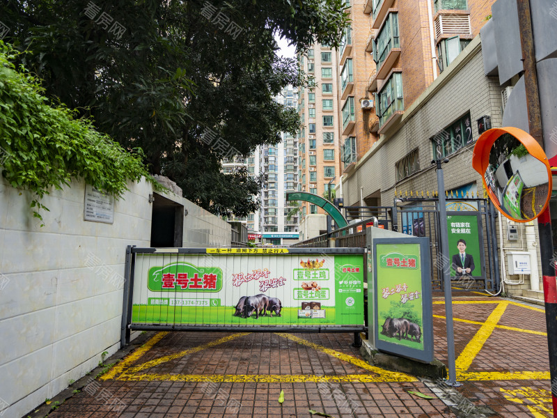 深圳缔馨园小区信息图片4