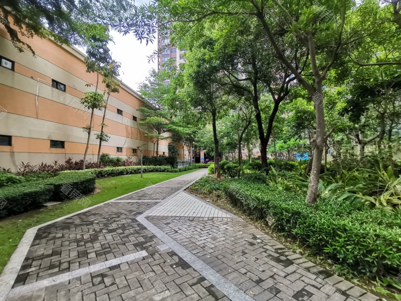 深圳东城国际小区信息图片5