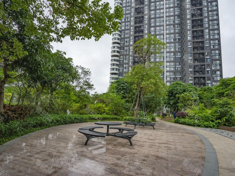 珠海中信红树湾南区小区信息图片12