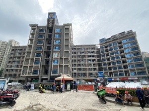 深圳西城品阁小区信息图片