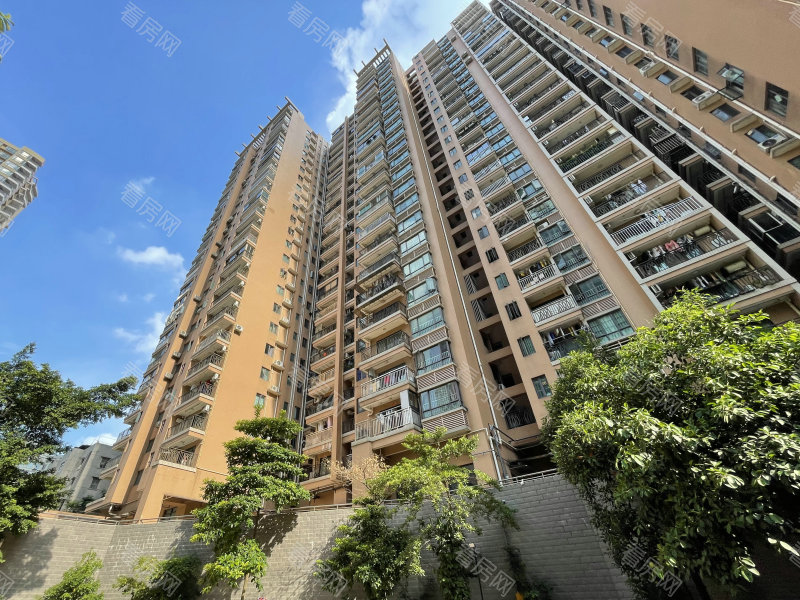 中山君悦豪庭二期小区信息图片8