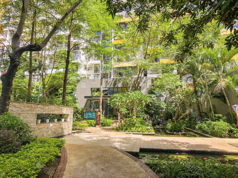 深圳花乡家园小区信息图片10