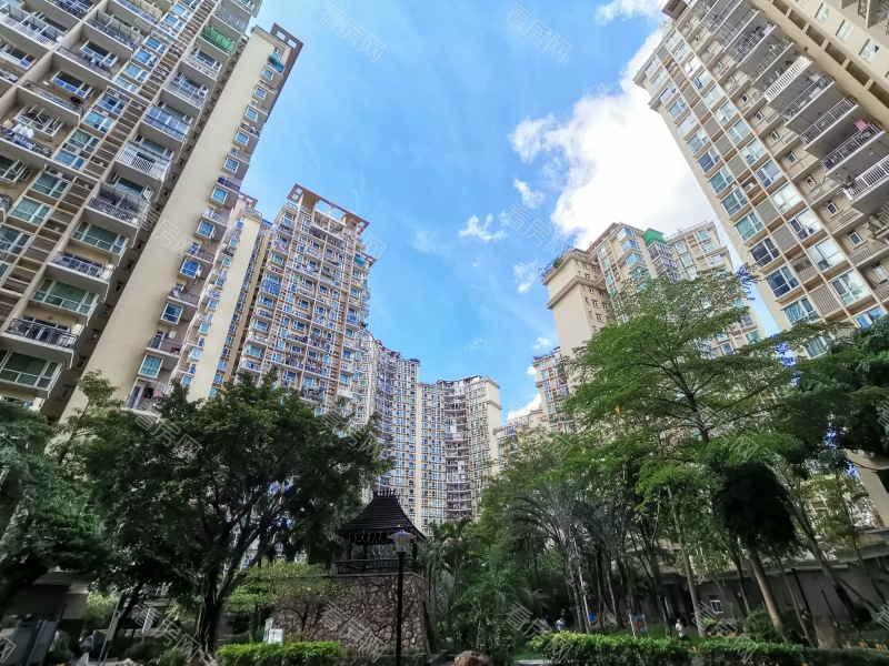 深圳星海名城三期小区信息图片4