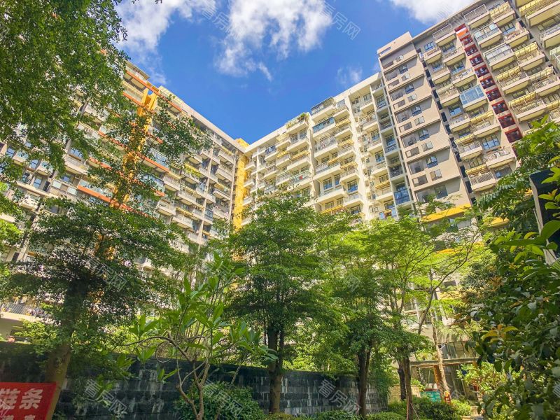 深圳花乡家园小区信息图片7