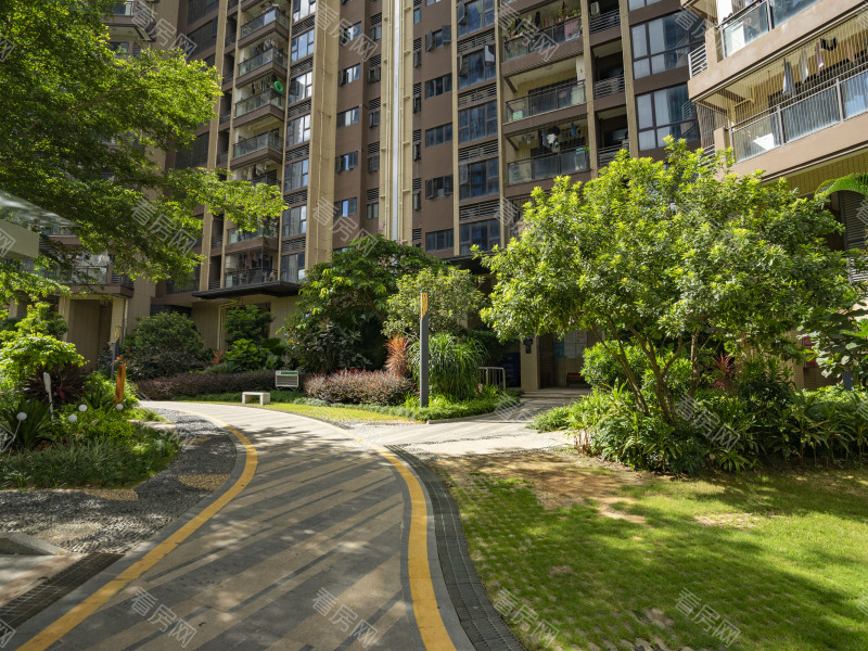 深圳观荟名庭小区信息图片7