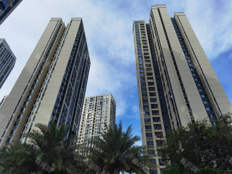 深圳金地龙城中央小区信息图片6