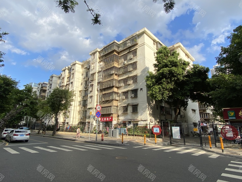 深圳园岭新村小区信息图片12