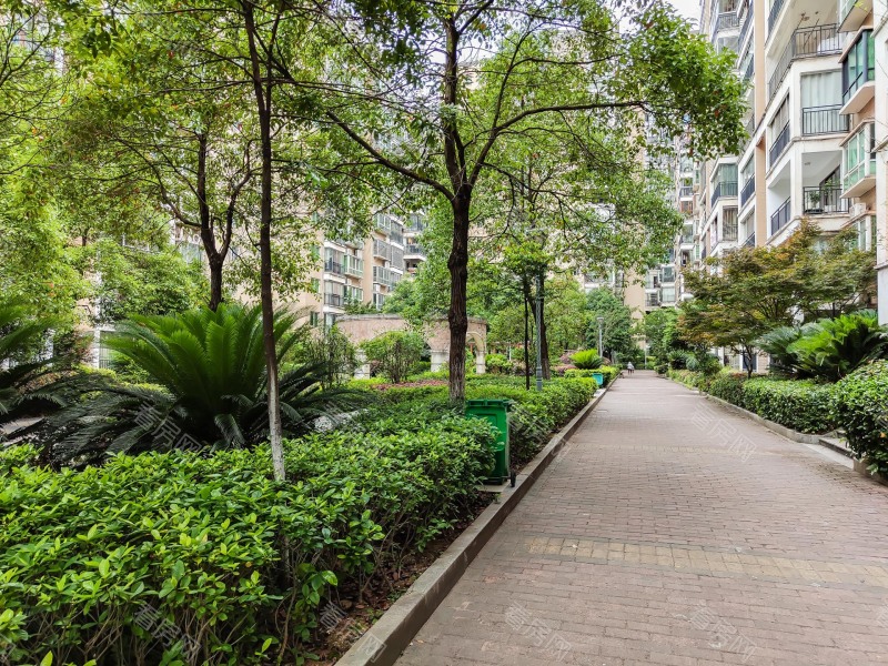 衡阳明珠花园小区信息图片5