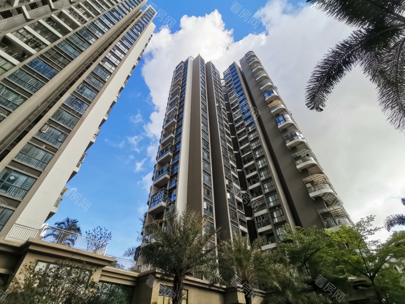 深圳星海名城三期小区信息图片7