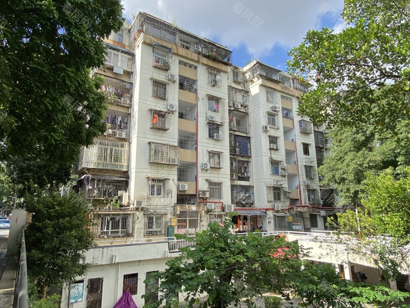 深圳园岭新村小区信息图片17