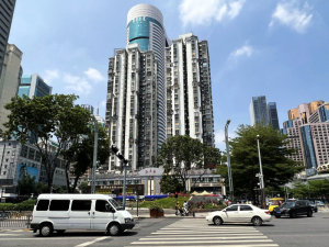 深圳海丰苑小区信息图片