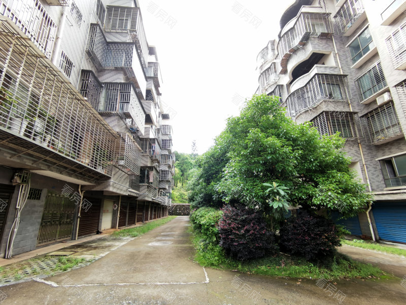 郴州兴旺花园小区信息图片4