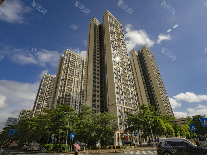 深圳金地龙城中央小区信息图片41