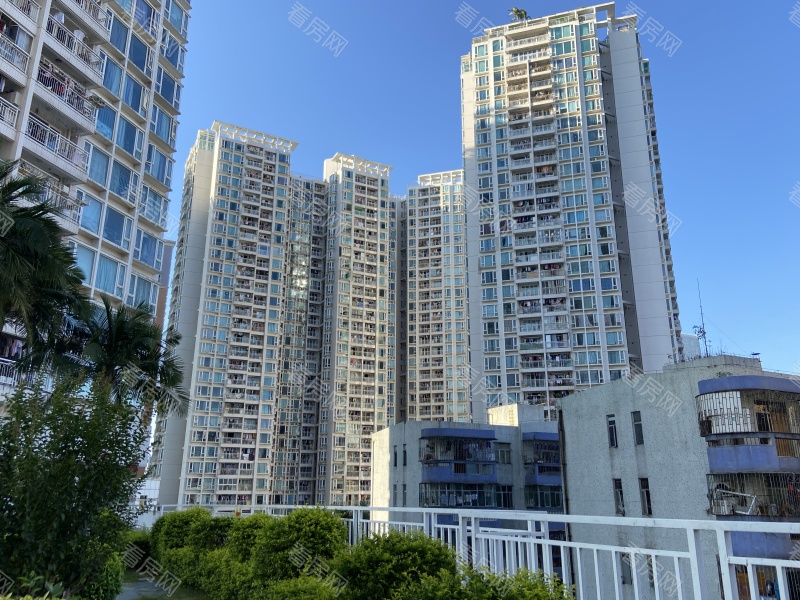 深圳皇庭世纪小区信息图片7