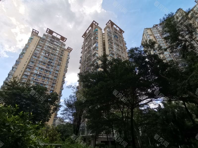 深圳星海名城三期小区信息图片6