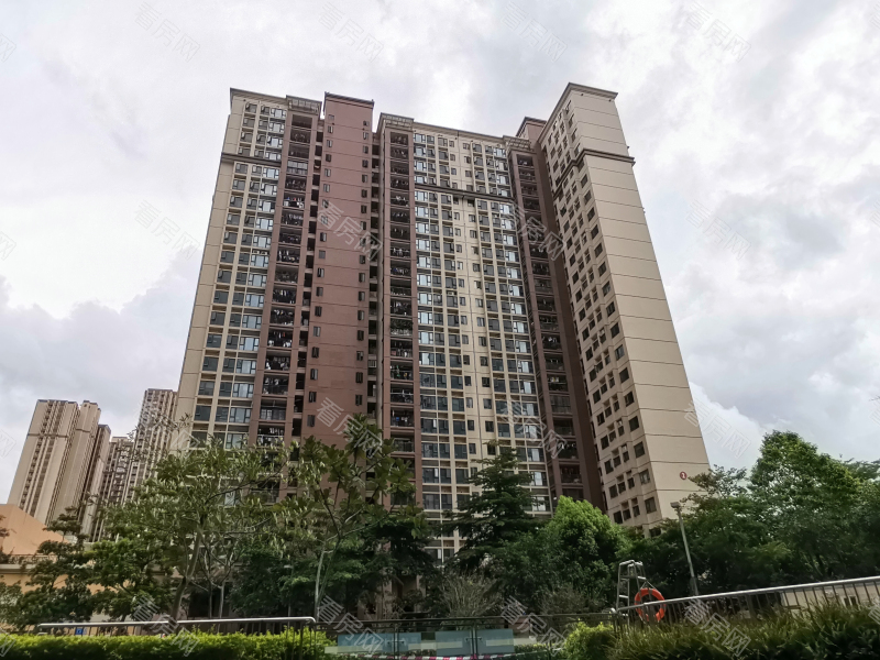 深圳东城国际小区信息图片11