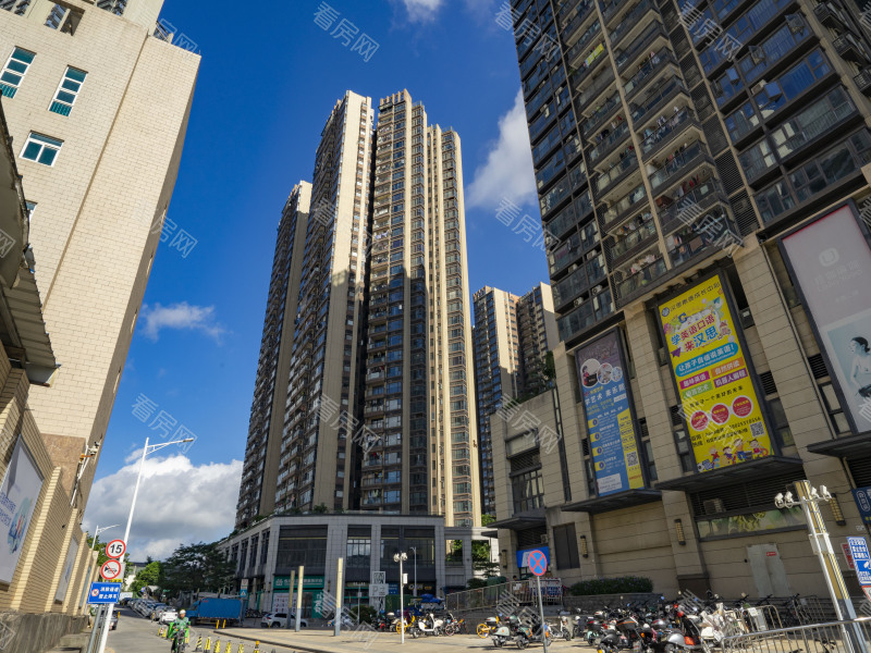 深圳观荟名庭小区信息图片3