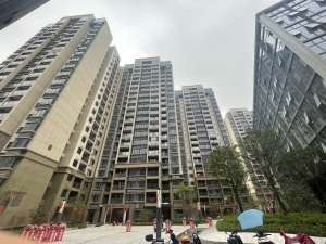 深圳大浪揽山居新房楼盘图片