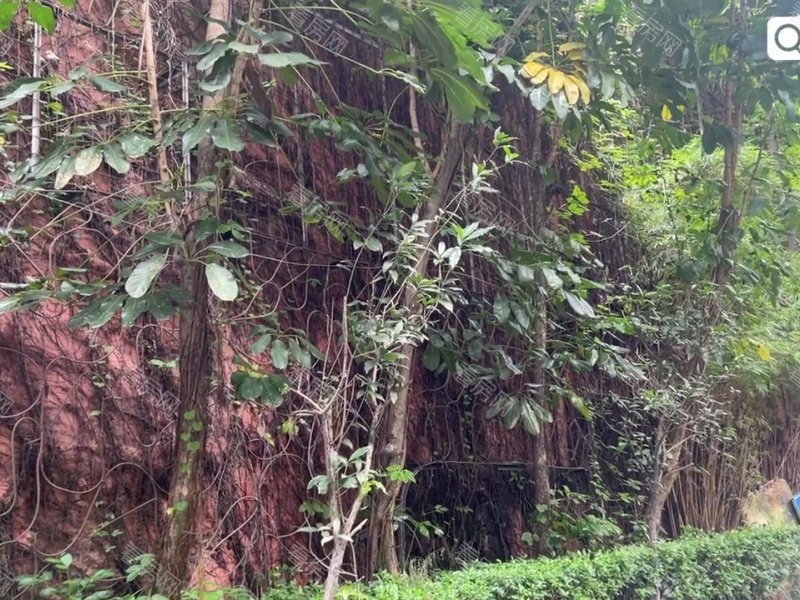 深圳十二橡树庄园二期小区信息图片28