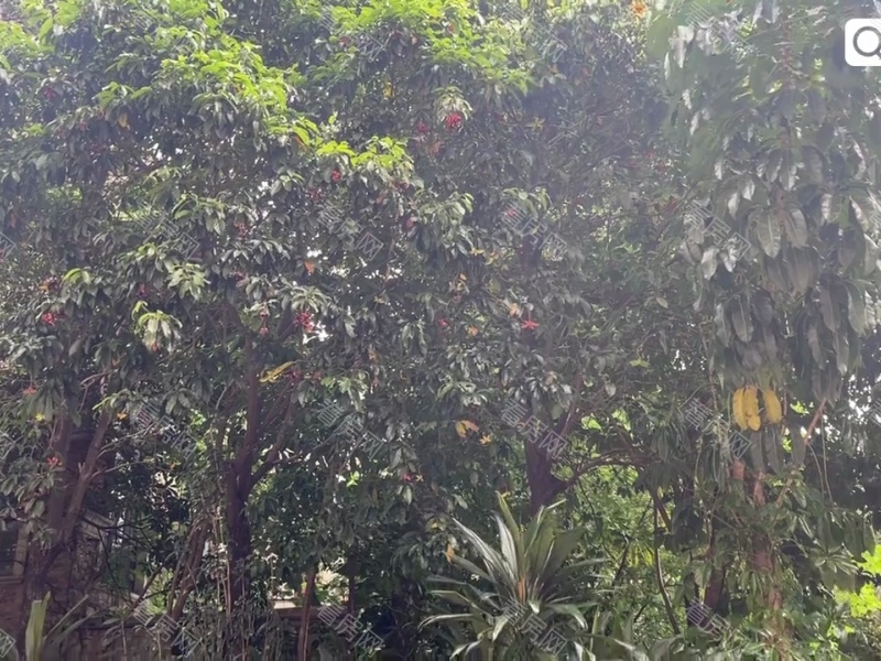 深圳十二橡树庄园二期小区信息图片29