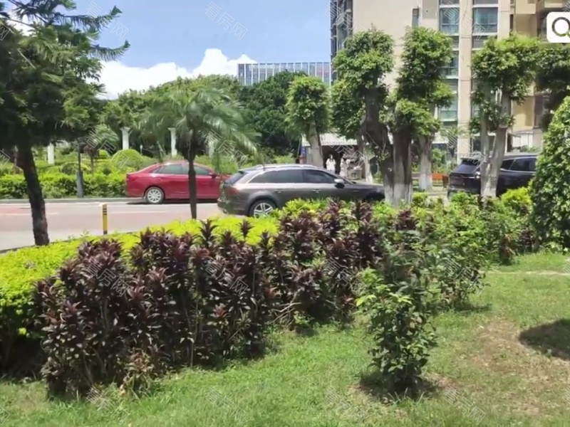 深圳金域豪庭一期小区信息图片21