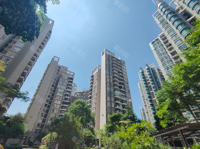 深圳天朗风清周边学校、商超多吗？值得买吗？_图片1