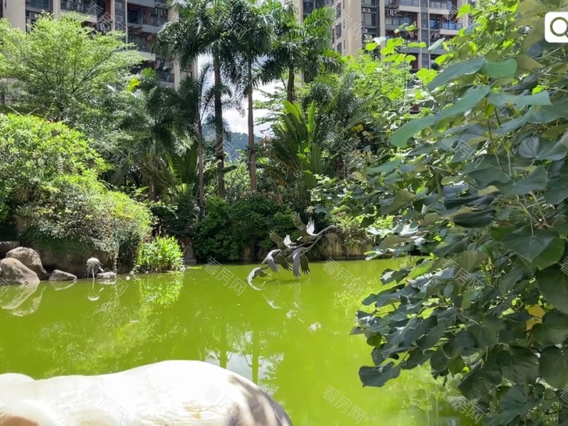 深圳佳兆业中央广场三期小区信息图片30