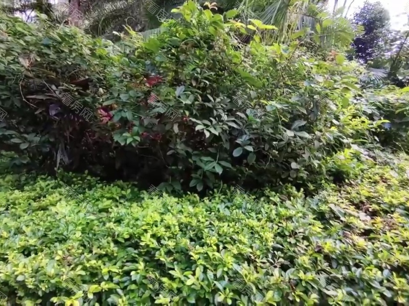 深圳星航华府小区信息图片9