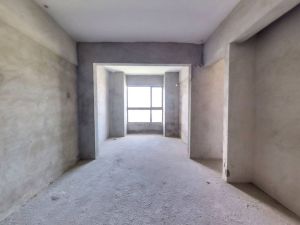 爱me公园 买全新毛坯两房中山坦洲镇坦洲镇二手房图片