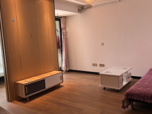 金地龙城中央 65平1房1厅总价105万深圳龙岗区龙岗中心城二手房图片