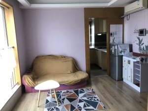 财富港 楼下地-铁口，精装1房1厅，拎包入住深圳宝安区西乡二手房图片