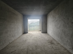长信广场 毛坯三房，给你更多的装修空间郴州北湖区梨树山二手房图片