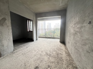 文华国际 3室2厅 117㎡ 毛坯郴州北湖区骆仙二手房图片