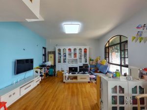 万科城A区 3室2厅 70.19㎡ 精装深圳龙岗区坂田二手房图片