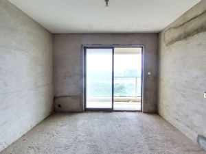 江山里熙岸 业主诚心出售，看房方便赣州章贡区章江新区二手房图片