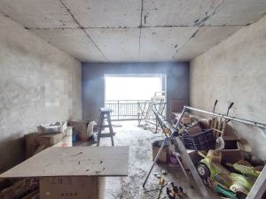 新葵花苑 3室2厅 159㎡ 毛坯衡阳珠晖区火车站二手房图片