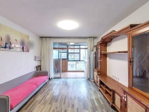 青湖山庄青泉苑 罗湖3房2厅精装房总价240万深圳罗湖区清水河租房图片