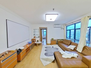 港逸豪庭 全真实图片和真价格，实地可以看深圳罗湖区罗湖口岸租房图片