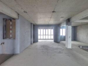 丽景君临天下 4室1厅 135.63㎡ 毛坯郴州苏仙区爱莲湖二手房图片