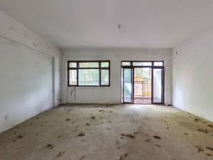 观湖园 双拼别墅，捡漏价，南北通透_深圳龙华区观澜二手房图片