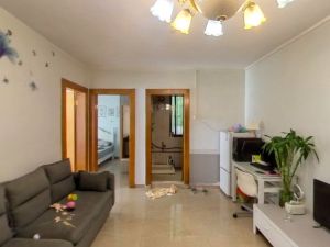 白天鹅花园 电梯南向可改三房采光好佛山南海区金沙洲二手房图片