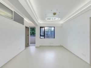 华丽东村 罗湖3房2厅精装修总价398万深圳罗湖区黄贝岭二手房图片