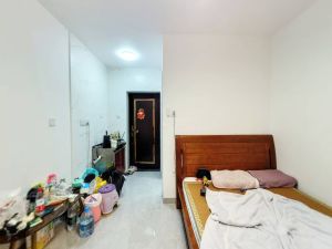 新银座大厦 1室0厅 23.56㎡ 满五年深圳罗湖区罗湖口岸二手房图片