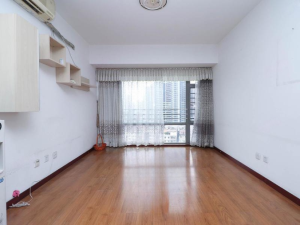 东方都会大厦 2室2厅 62.78㎡ 简装深圳罗湖区新秀二手房图片