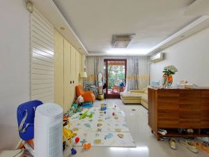 万科城A区 3室2厅 99.3㎡ 满五年_深圳龙岗区坂田二手房图片