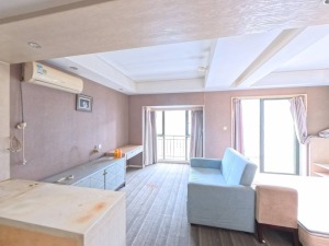 花样年花港 南向一居室 满五户型方正深圳盐田区盐田港二手房图片